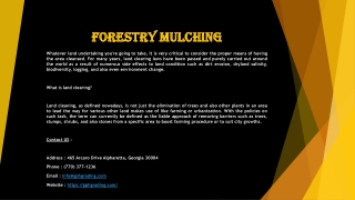 Forestry Mulching