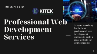 Professional Web Development Services