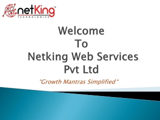 Digital Marketing Company in India | Web Development Company in India - Netking Technologies