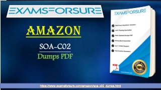 2021 SOA-C02 Dumps | 25% OFF | Coupon code "EFS25"