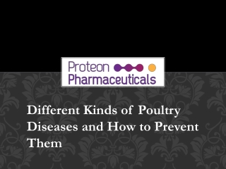 Different Kinds of Poultry Diseases and How to Prevent Them