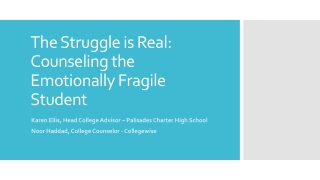 The Struggle is Real: Counseling the Emotionally Fragile Student