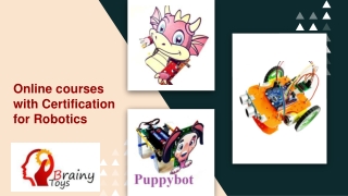 Online Courses with Certification for Robotics - Brainy Toys - Online Robotic Courses for Kids