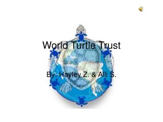 World Turtle Trust