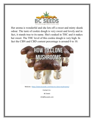How to Clone Mushrooms | Bcseeds.com