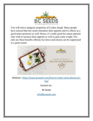 Salvia Tea | Bcseeds.com