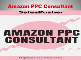 Amazon PPC Consultant