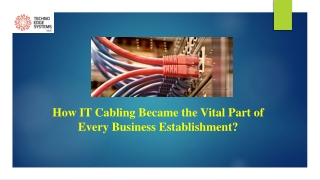 How IT Cabling Became the Vital Part of Every Business Establishment?