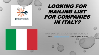 Italy business email list