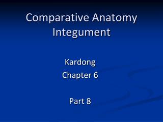 Comparative Anatomy Integument