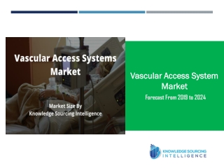 Vascular Access Systems Market Set to Witness Magnificent Grow and Competitive Outlook