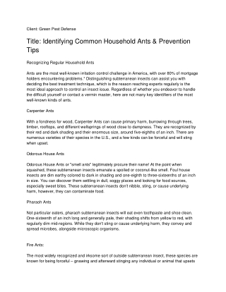 Identifying Common Household Ants & Prevention Tips