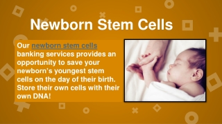 Newborn Stem Cells