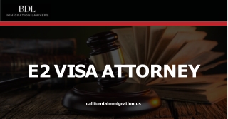 Online best e2 visa attorney in USA at Brian D Lerner