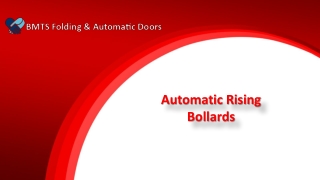 Automatic Rising Bollards Suppliers In UAE, Automatic Rising Bollards In Dubai - BMTS Automatic Doors