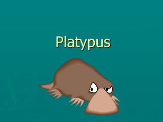 Platypus