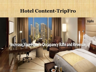Hotel Content-TripFro
