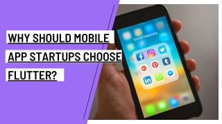 Why should mobile app startups choose Flutter?