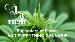 Cannabis Delivery Canoga Park - LA Rush