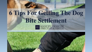 Six Tips For Getting The Dog Bite Settlement