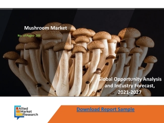 Mushroom Market In-Depth Analysis of Current Research, Growth Opportunities and Forecast to 2027
