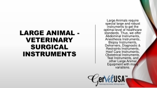Large Animal - Veterinary Surgical Instruments
