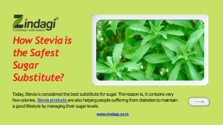 Zibdagi - How Stevia is the Safest Sugar Substitute?