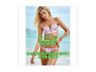 해외선물갤러리, 해선갤러리,