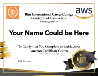 Amazon Certificate Courses at Bitts International Career College