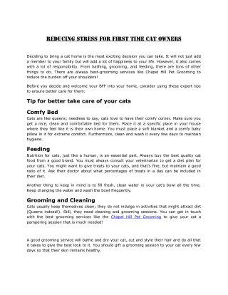 Reducing Stress for First Time Cat Owners