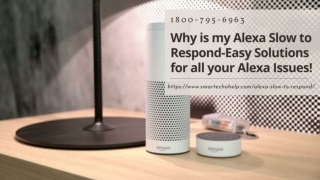 Your Amazon Alexa Slow to Respond? 1-8007956963 Anytime Alexa App Helpline