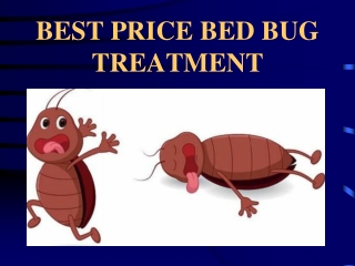 How bed bug heat treatment works?