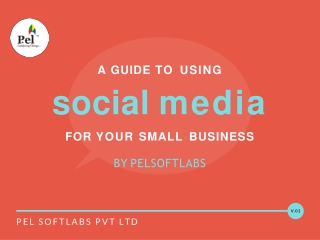 Pel Softlabs Pvt Ltd is a guide to using social media for your small business