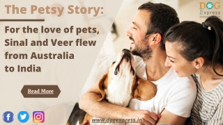 The Petsy Story: For the love of pets, Sinal and Veer flew from Australia to India