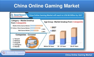 China Online Gaming Market By Category, Companies, Forecast