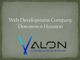 web development company Downtown Houston