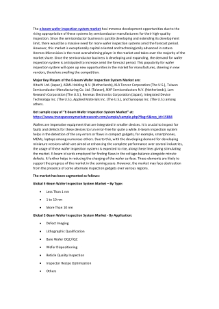 E-beam Wafer Inspection System Market Growth, Trends, Opportunities and Forecast to 2025