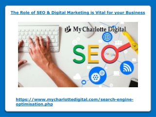 The Role of SEO & Digital Marketing is Vital for your Business