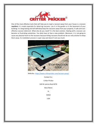 Critter Pricker – Get Rid of Raccoon poop