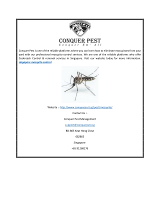 Singapore Mosquito Control | Conquer Pest