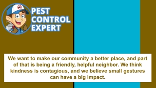 Affordable Pest Control Services