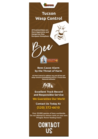 Arizona pest control company | Bee Removal Tucson