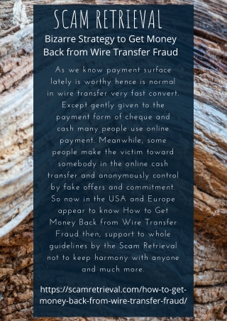 Bizarre Strategy to Get Money Back from Wire Transfer Fraud