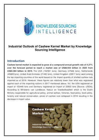 Industrial Outlook of Cashew Kernel Market