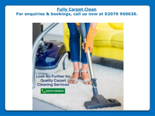 Fully Carpet Cleaning services