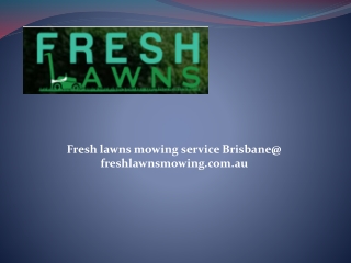 How You Can Hire The Best Lawn Mowing Company In Brisbane