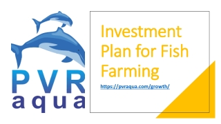 Investment Plan for Fish Farming