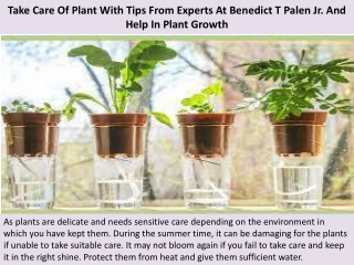 Take Care Of Plant With Tips From Experts At Benedict T Palen Jr. And Help In Plant Growth