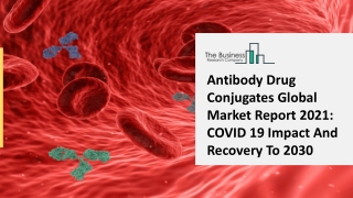 Antibody Drug Conjugates Market Worldwide Analysis By Size, Trends And Segments Forecast To 2025