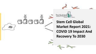 Stem Cell Market Analysis 2021-2025| By Size, Share, Growth and Trends